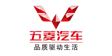 Wuling Rötuş Boyası logosu